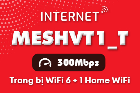 Internet MESHVT1 Internet MESHVT1