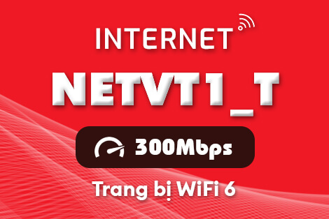 Internet NetVT1 Internet NetVT1
